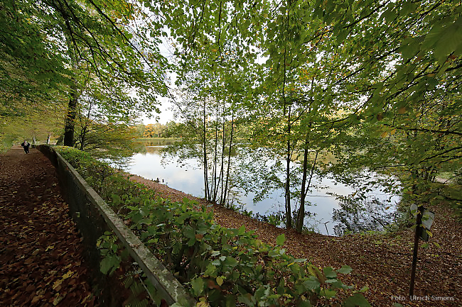 Kupferbach-Stauweiher